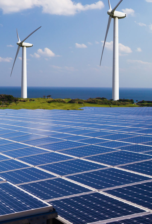 Woman with Solar Panel
